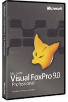 Visual FoxPro VFP 9.0 SAP Schulung bei Hoppe
