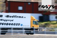 COSYS Transport und Logistik Management